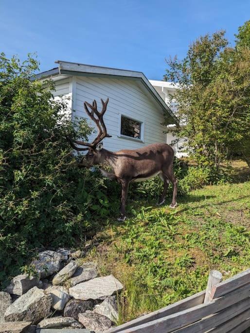 Koselig Leilighet Naer Bussholdeplass Og Natur. Tromso Bagian luar foto