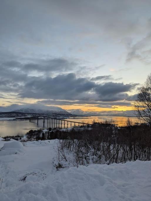 Koselig Leilighet Naer Bussholdeplass Og Natur. Tromso Bagian luar foto