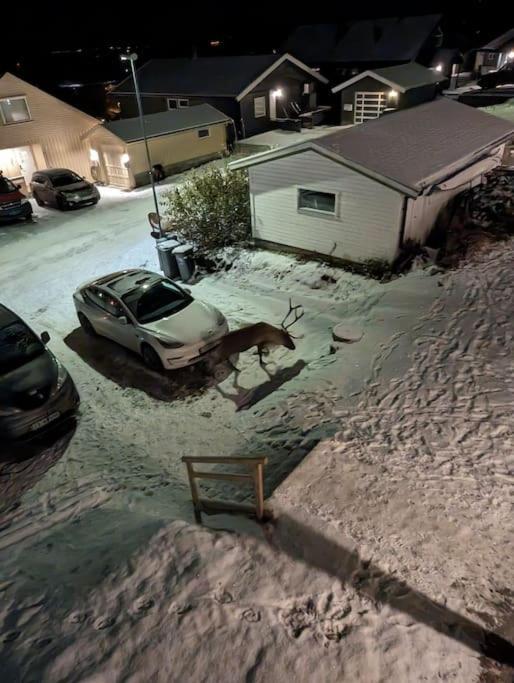Koselig Leilighet Naer Bussholdeplass Og Natur. Tromso Bagian luar foto
